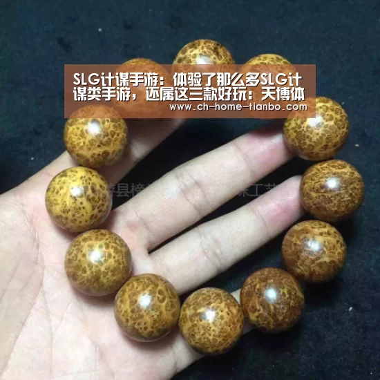 天博体育官网最新版本