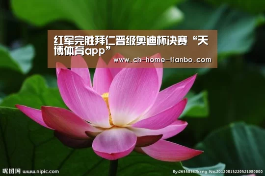 天博体育app