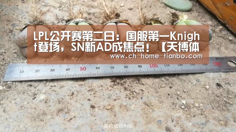 天博体育官网最新版本