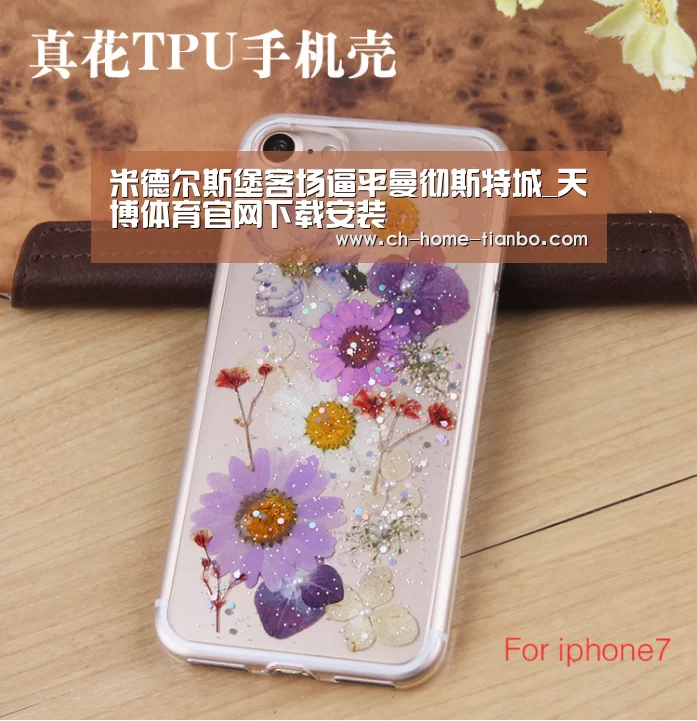 天博体育官网最新版本