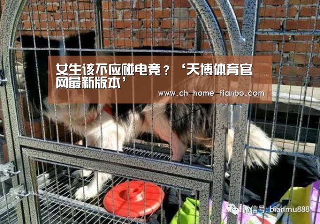 天博体育app