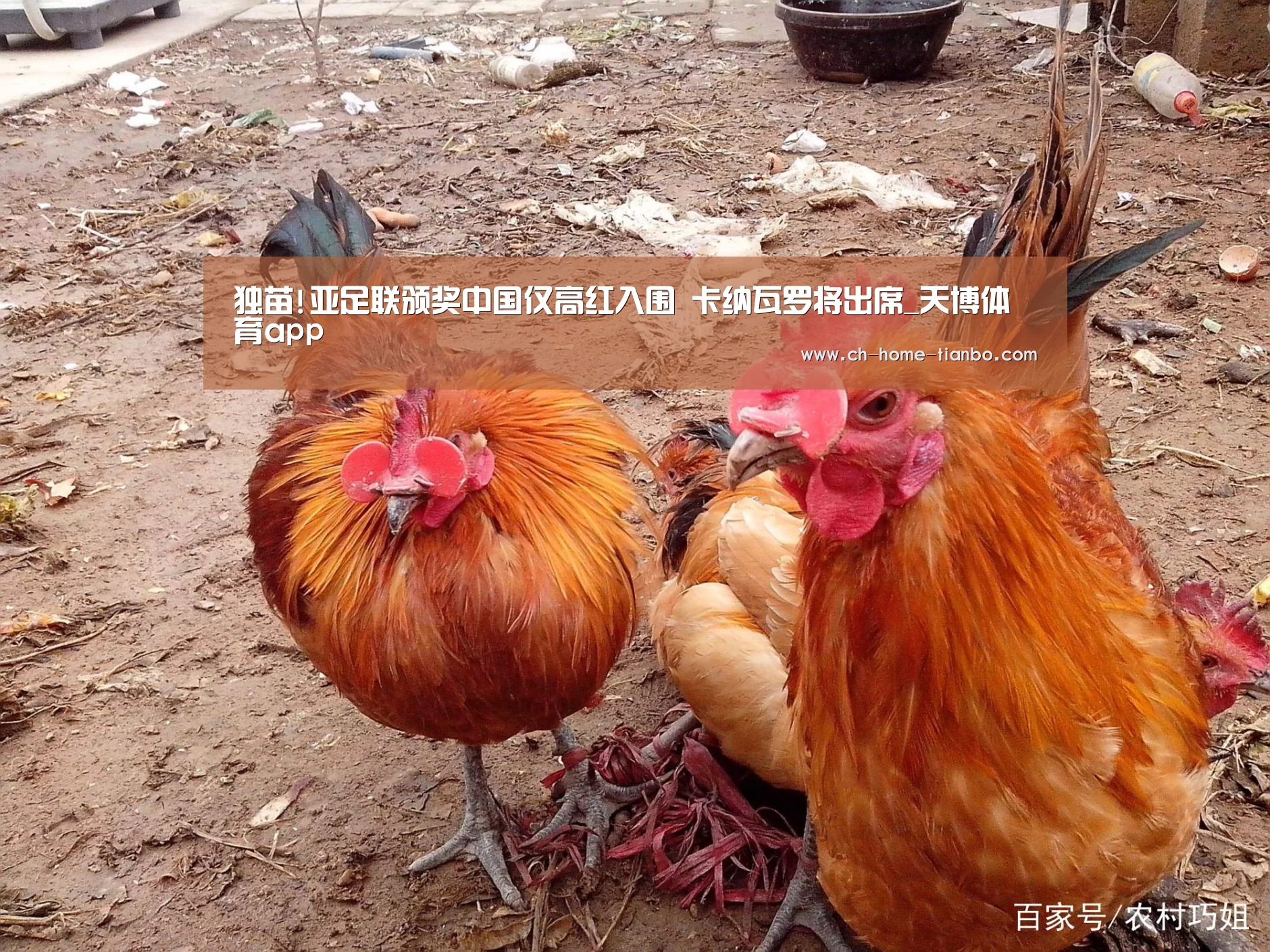 天博体育app