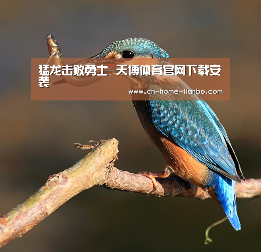猛龙击败勇士-天博体育官网下载安装(图3) 天博体育官网最新版本