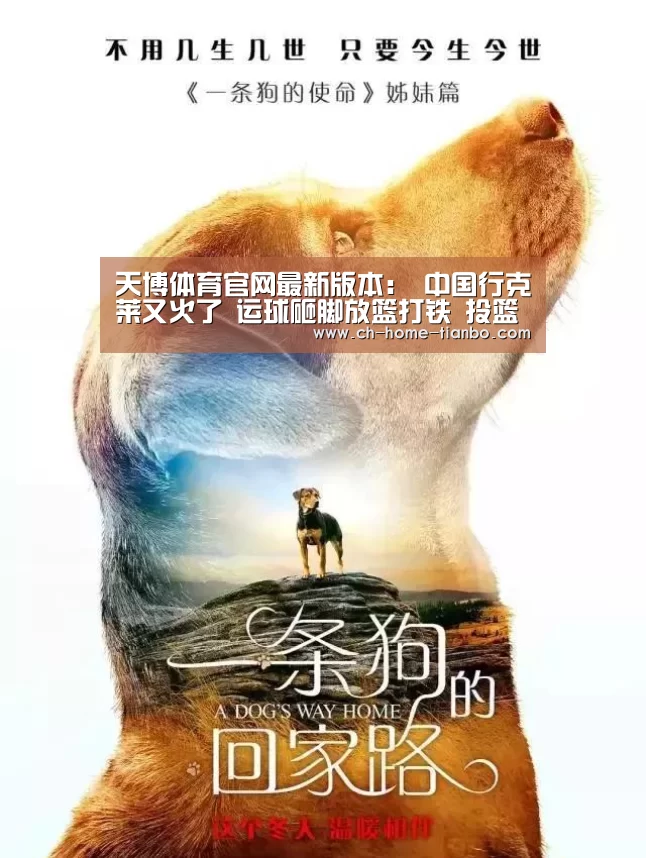 天博体育官网最新版本:
中国行克莱又火了 运球砸脚放篮打铁 投篮还被女球迷完爆(图3) 天博体育官网最新版本