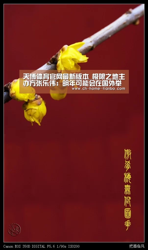 天博体育官网最新版本_极限之地主办方张乐伟：明年可能会在国外